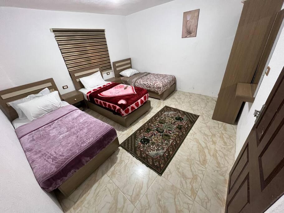 Z3 Apartment Wadi Musa Exteriér fotografie