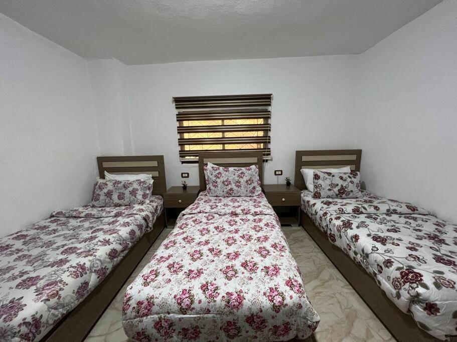 Z3 Apartment Wadi Musa Exteriér fotografie
