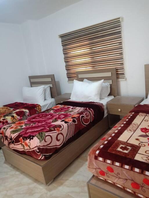Z3 Apartment Wadi Musa Exteriér fotografie